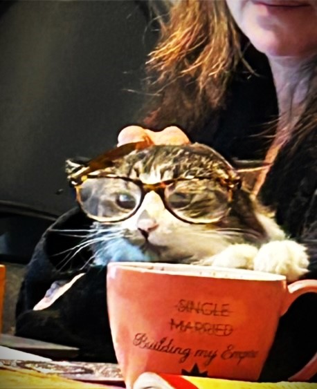 Cat growing through study wearing glasses as he aims to help his team.